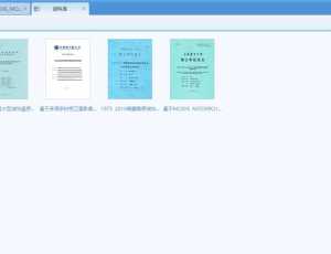 CAJ论文阅读器（清爽版）