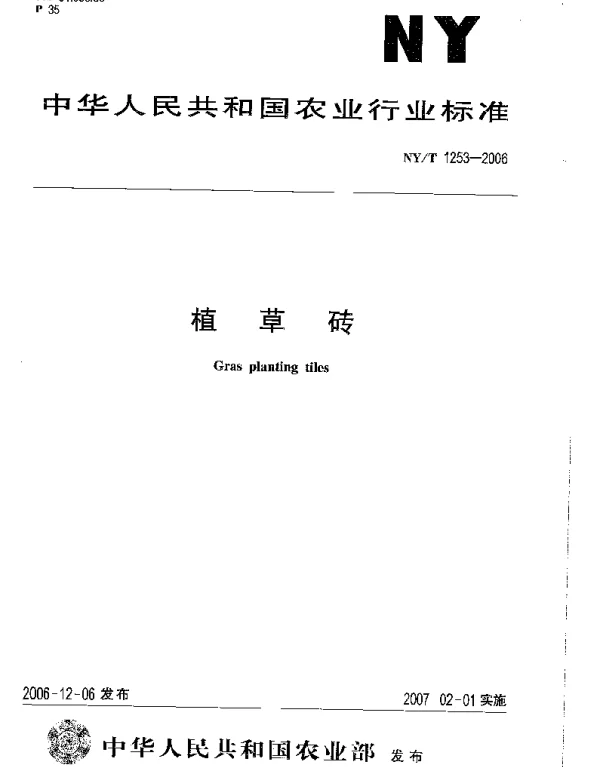 NYT 1253-2006 植草砖