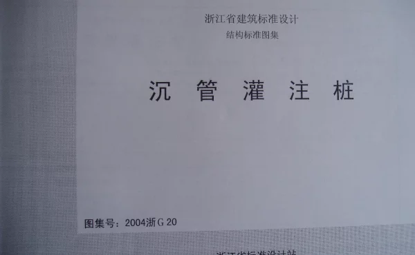 2004浙G20 沉管灌注桩