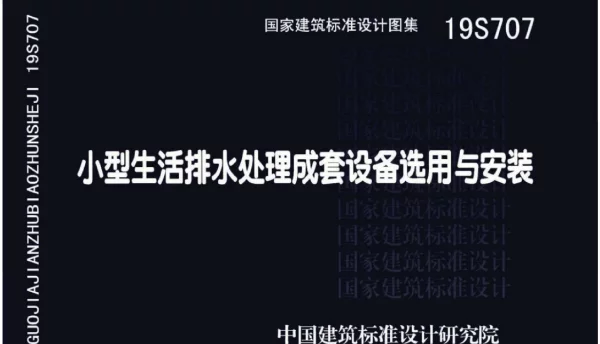 19S707