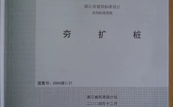 2004浙G21 夯扩桩