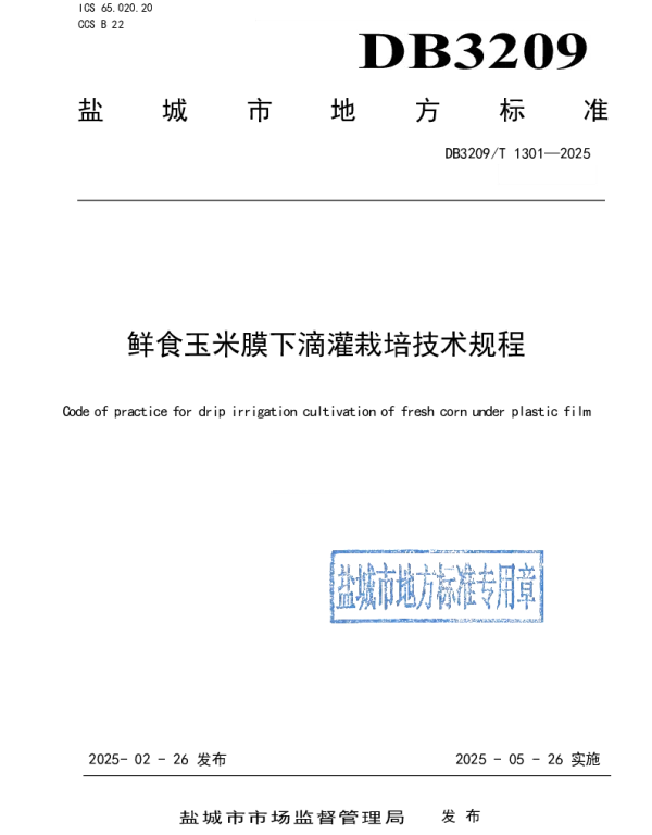 DB3209T 1301-2025 鲜食玉米膜下滴灌栽培技术规程