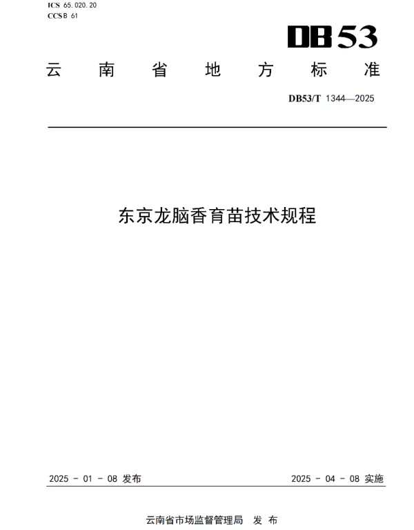DB53T 1344-2025 东京龙脑香育苗技术规程