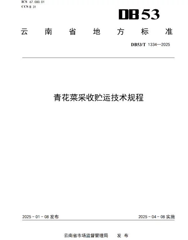 DB53T 1334-2025 青花菜采收贮运技术规程