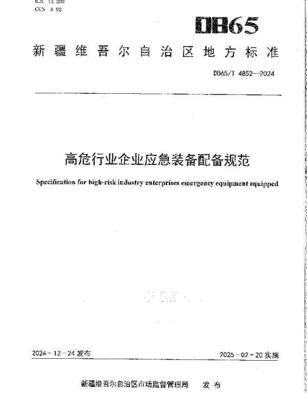 DB65T 4852-2024 高危行业企业应急装备配备规范