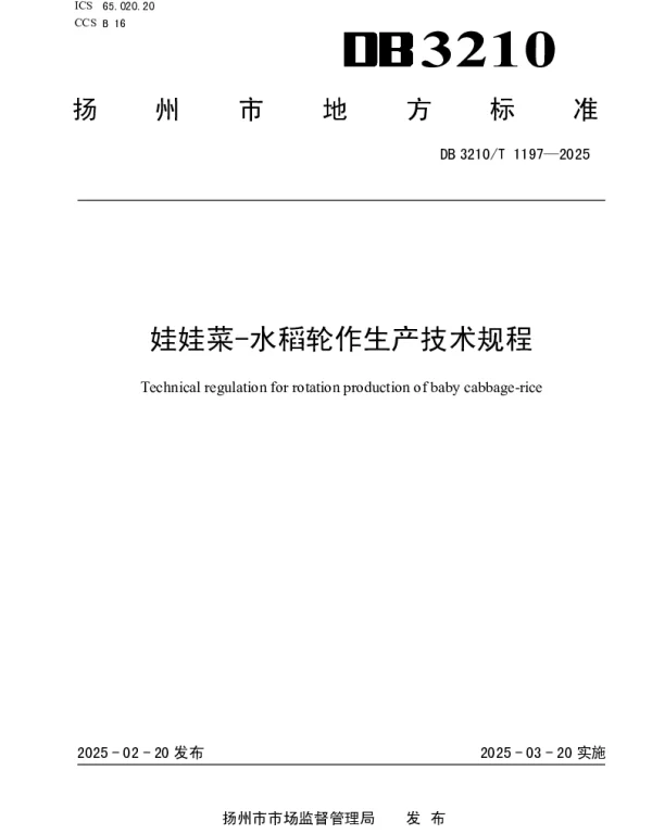 DB3210T 1197-2025 娃娃菜-水稻轮作生产技术规程