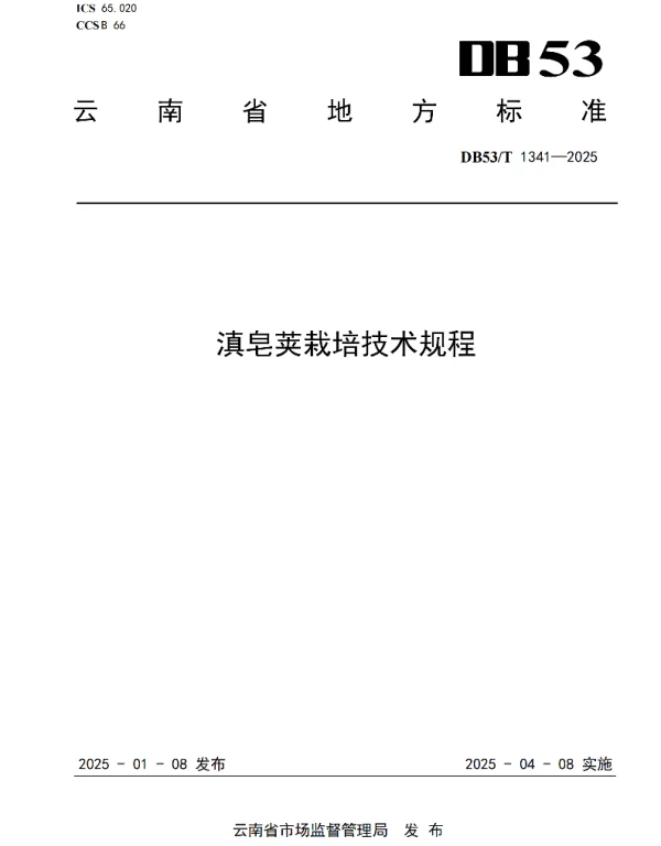 DB53T 1341-2025 滇皂荚栽培技术规程