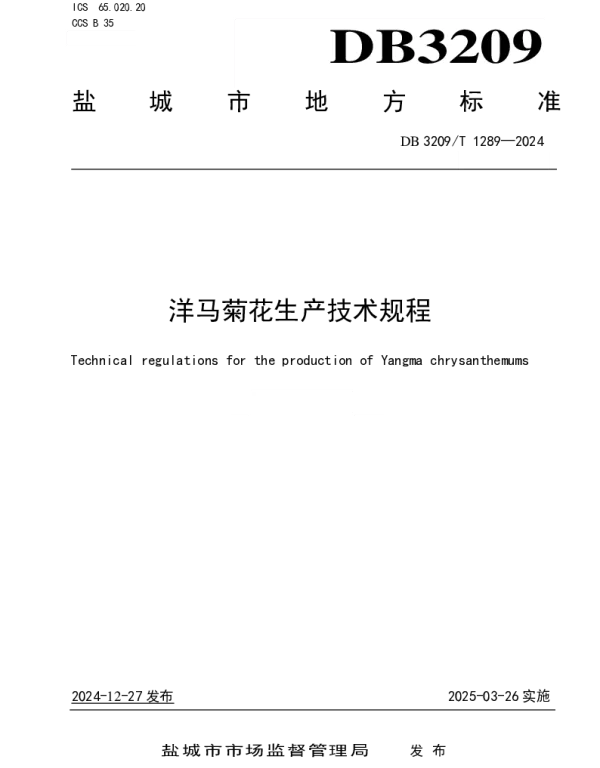 DB3209T 1289-2024 洋马菊花生产技术规程