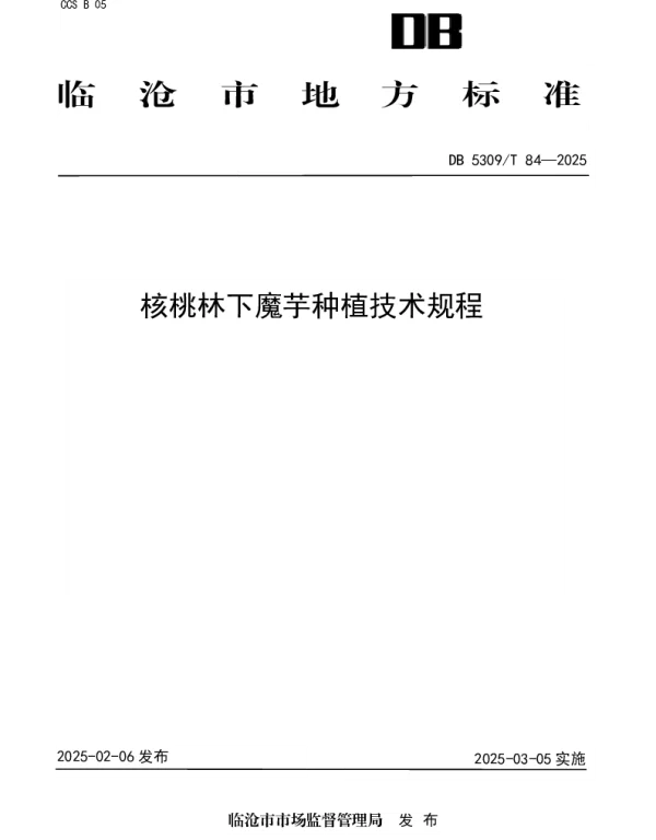 DB5309T 84-2025 核桃林下魔芋种植技术规程