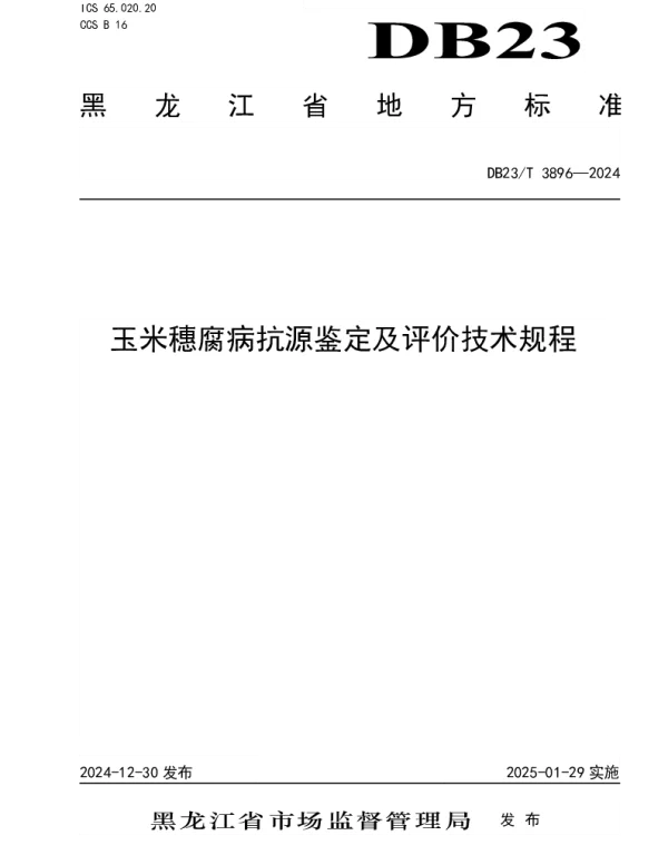 DB23T 3896—2024 玉米穗腐病抗源鉴定及评价技术规程