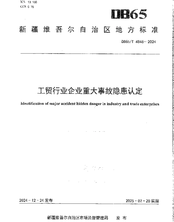 DB65T 4846-2024 工贸行业企业重大事故隐患认定