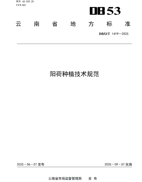 DB53T 1419-2025 阳荷种植技术规范