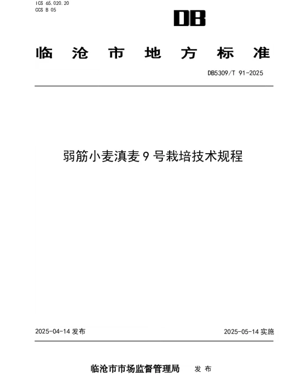 DB5309T 91-2025 弱筋小麦滇麦9号栽培技术规程