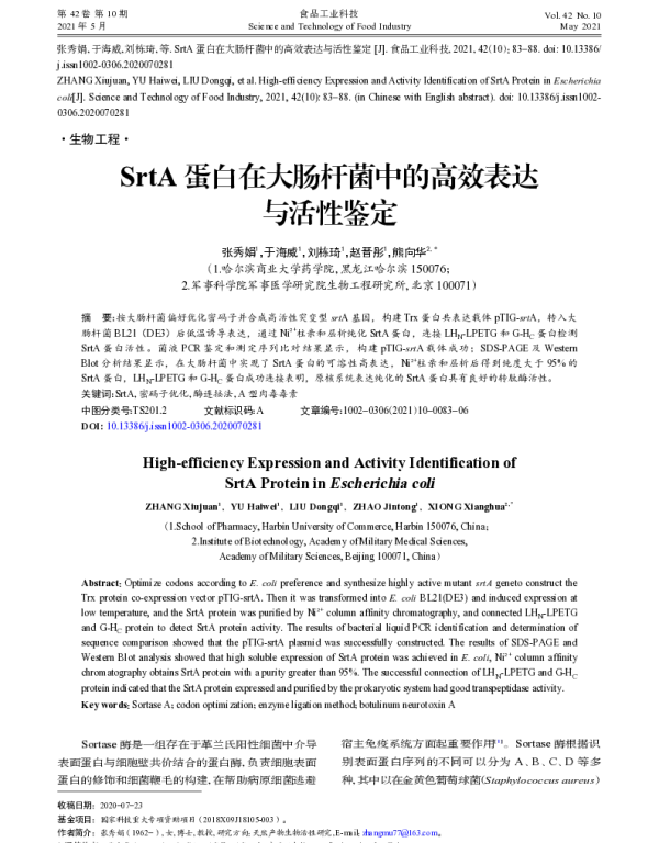 SrtA蛋白在大肠杆菌中的高效表达与活性鉴定