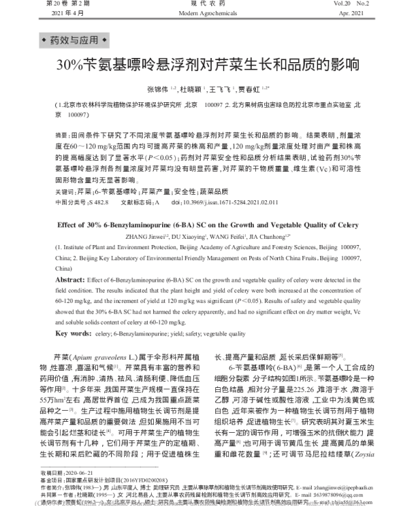 30%苄氨基嘌呤悬浮剂对芹菜生长和品质的影响 30%苄氨基嘌呤悬浮剂对芹菜生长和品质的影响