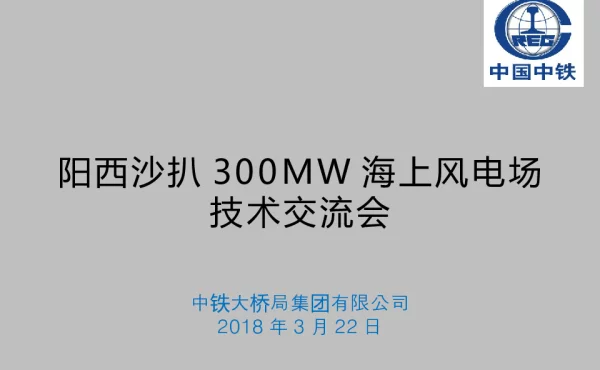 阳江沙扒300MW海上风电场技术交流会