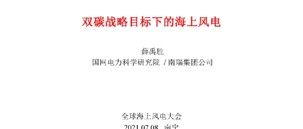 全球海上风电大会课件-薛禹胜-双碳战略目标下的海上风电