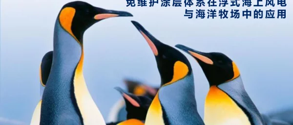 全球海上风电大会课件-免维护涂层体系在浮式海上风电与海洋牧场中的应用  20210708