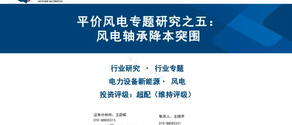 2022-07-平价风电专题研究之五：风电轴承降本突围-国信证券
