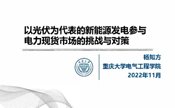 2023-01-杨知方：以光伏为代表的新能源发电参与电力现货市场的挑战与对策