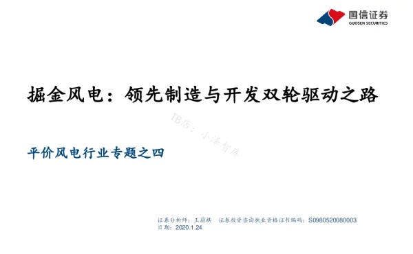 2022-07-平价风电行业专题之四-掘金风电：领先制造与开发双轮驱动之路-国信证券