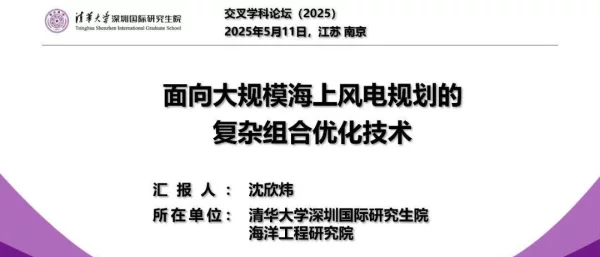 面向大规模海上风电规划的复杂组合优化技术