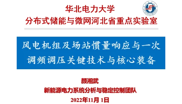 华北电力大学 颜湘武：风电机组及场站惯量响应与一次调频调压关键技术与核心装备