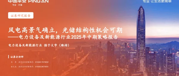 电力设备及新能源行业2025年中期策略报告：风电高景气确立，光储结构性机会可期