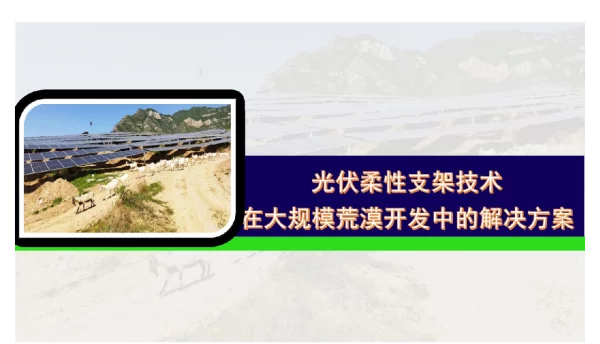 光伏柔性支架技术在大规模荒漠开发中的解决方案