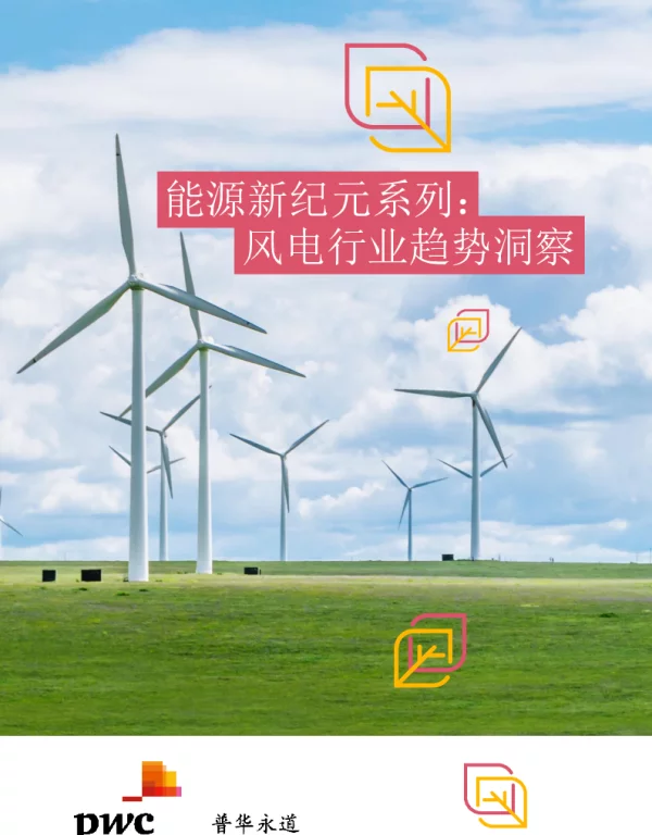 普华永道2024能源新纪元系列风电行业趋势洞察篇报告45页_10mb