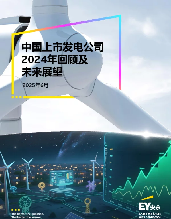 中国上市发电公司2024年回顾及未来展望2025年6月