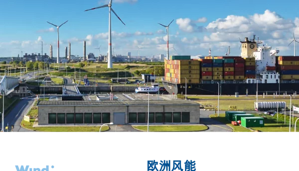 欧洲风能：2024年统计数据及2025-2030年展望