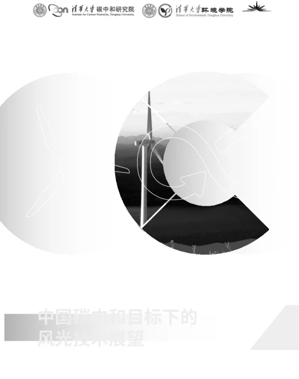 中国碳中和目标下的风光技术展望--清华大学碳中和研究院