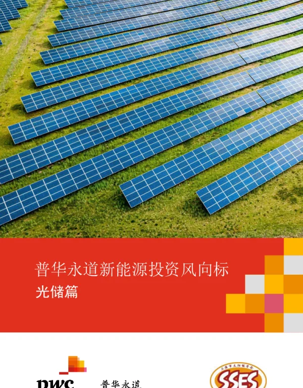 2023-01-新能源投资风向标（光储篇）-普华永道