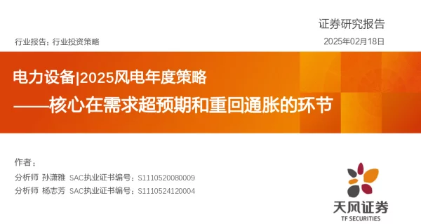 20250218-电力设备_2025风电年度策略_核心在需求超预期和重回通胀的环节_35页_1mb