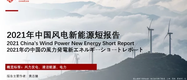 2022-05-2021年中国风电新能源短报告