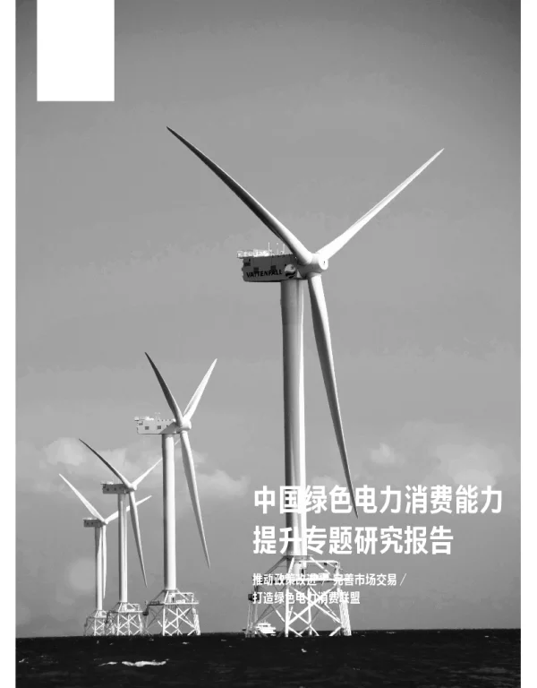 中国绿色电力消费能力提升专题研究报告