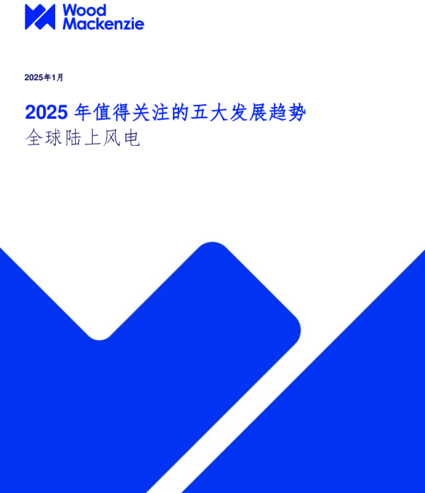 2025年值得关注的五大发展趋势：全球陆上风电