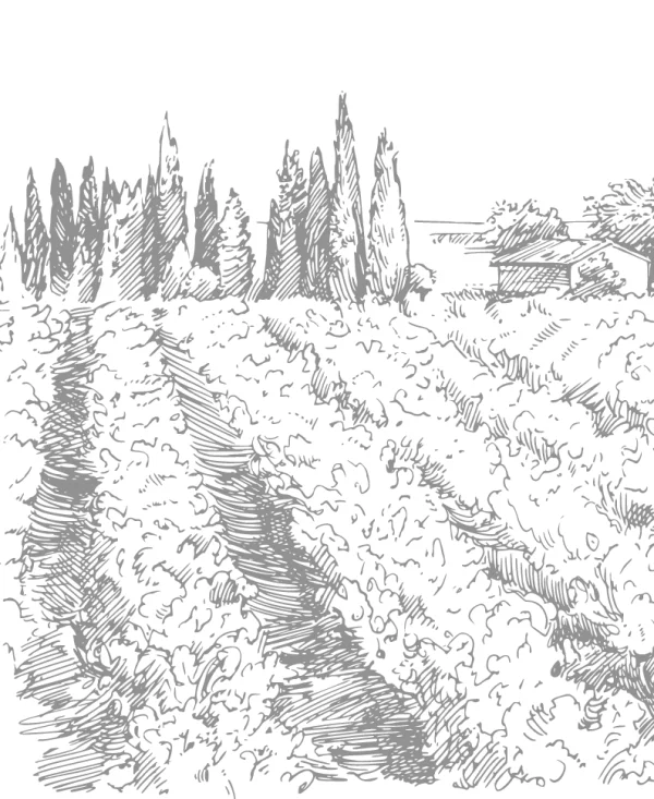 2022-12-千乡万村唱响“大风”歌——三峡能源发展风电助力乡村振兴共同富裕_王亚琼