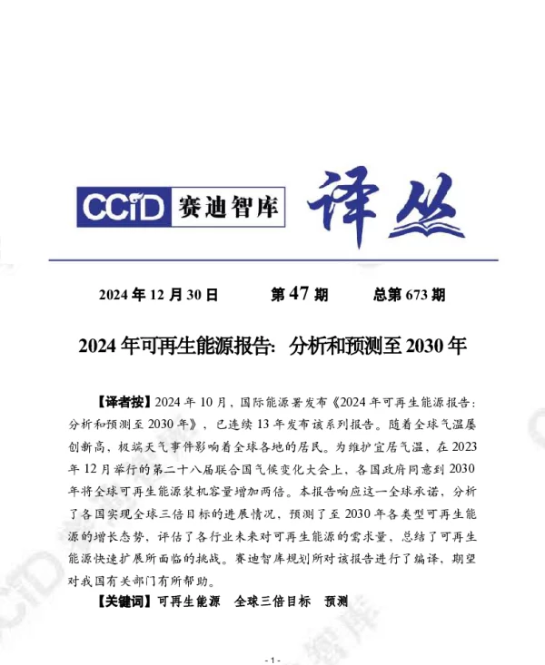 2024年可再生能源报告：分析和预测至2030年