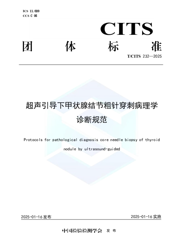 T_CITS 232—2025_超声引导下甲状腺结节粗针穿刺病理学诊断规范