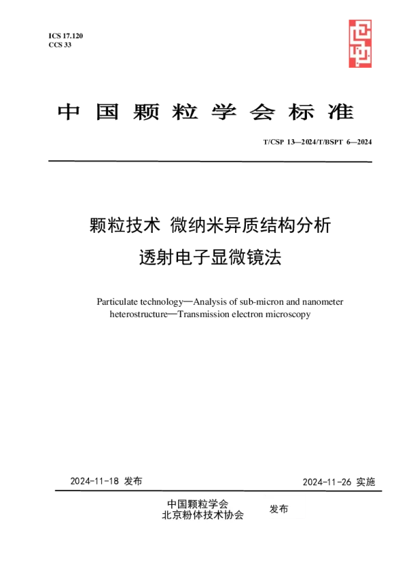 T_CSP 13—2024_颗粒技术 微纳米异质结构分析   透射电子显微镜法