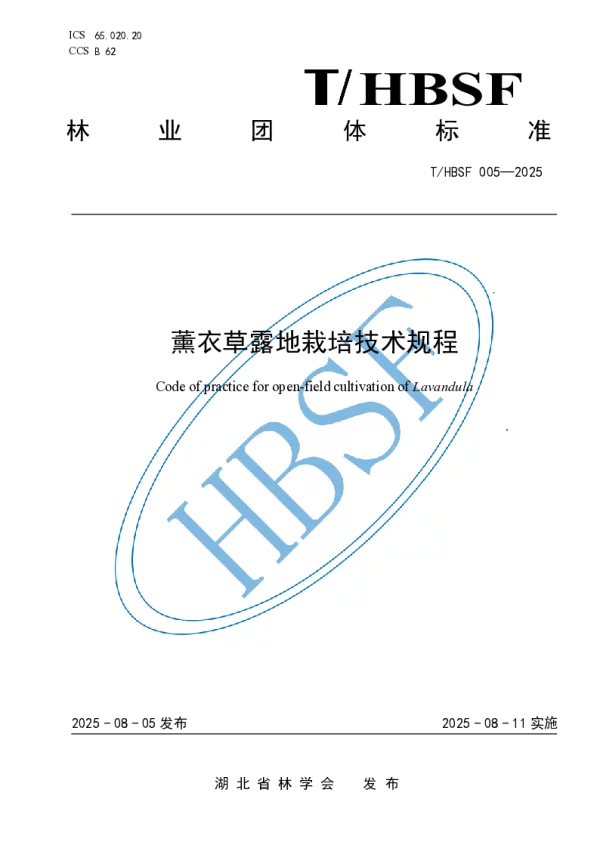 T_HBSF 005—2025_薰衣草露地栽培技术规程