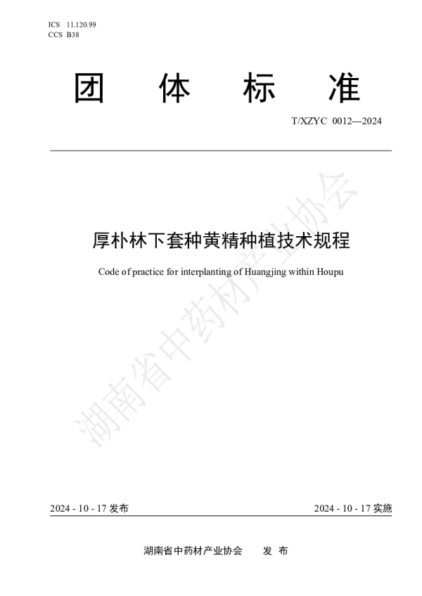 T_XZYC 0012—2024_厚朴林下套种黄精种植技术规程
