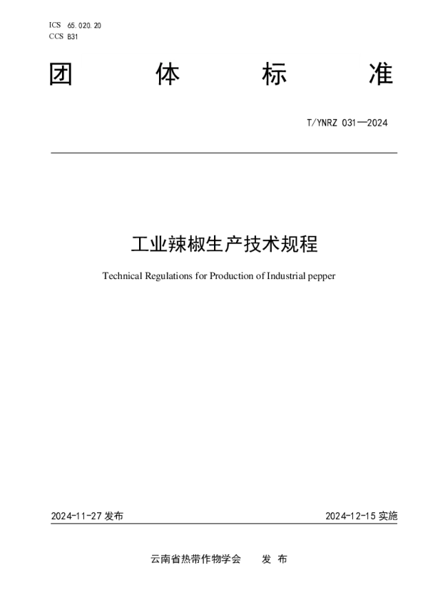 T_YNRZ 031—2024_工业辣椒生产技术规程
