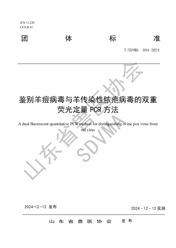 T_SDVMA 004—2024_鉴别羊痘病毒与羊传染性脓疱病毒的双重荧光定量PCR方法