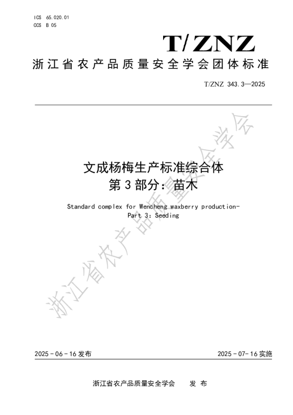 T_ZNZ 343.3—2025_文成杨梅生产标准综合体第3部分：苗木