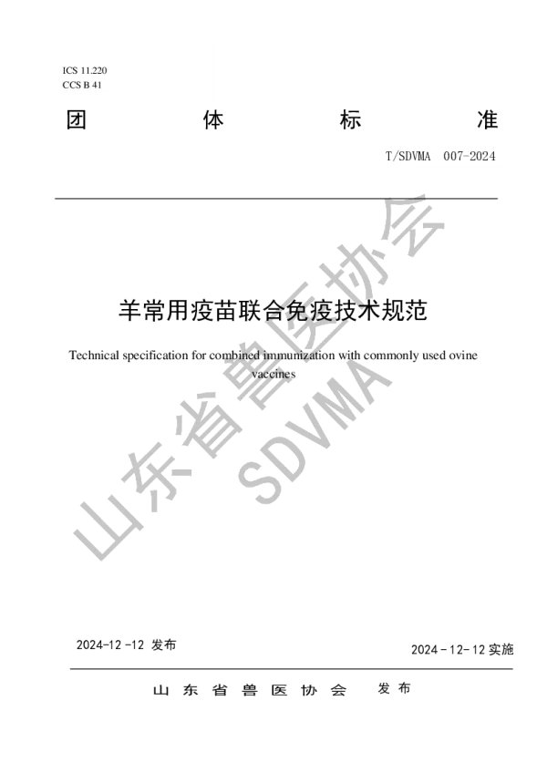 T_SDVMA 007—2024_羊常用疫苗联合免疫技术规范