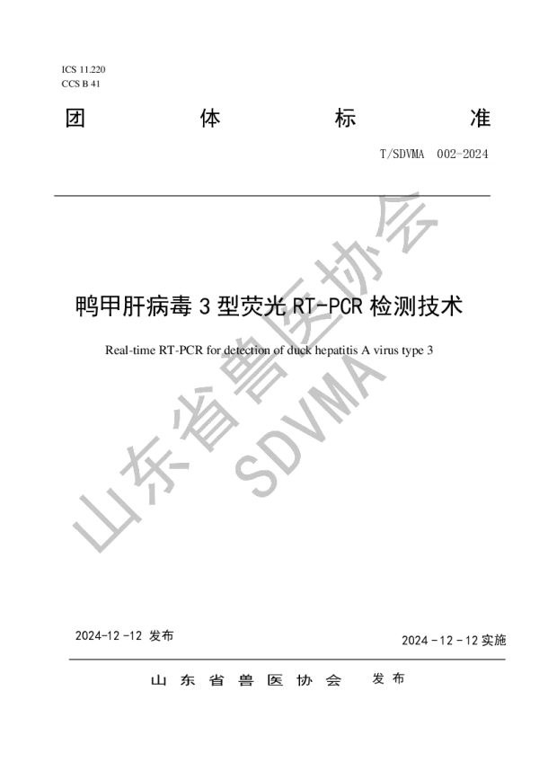T_SDVMA 002—2024_鸭甲肝病毒3型荧光RT-PCR检测技术