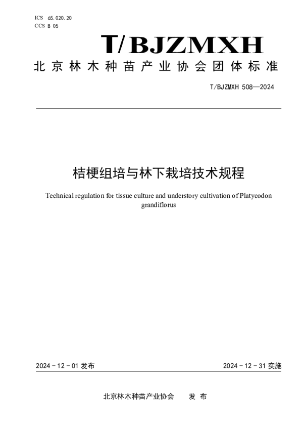 T_BJZMXH 508—2024_桔梗组培与林下栽培技术规程